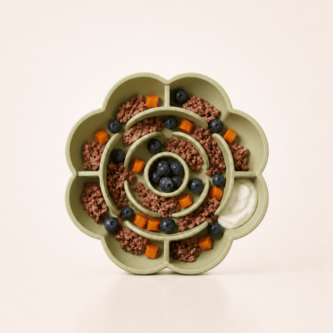 Bloom Slow Feeder