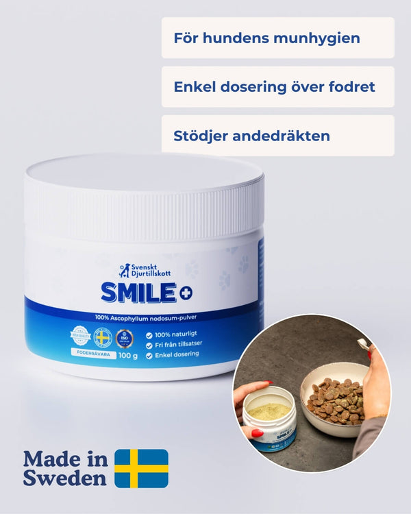 Smile