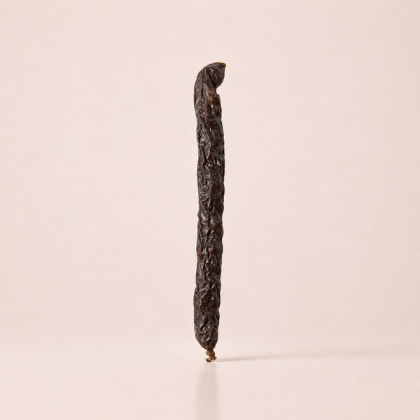 Elgsalami