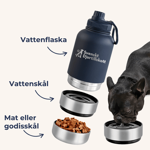 Allt-i-ett