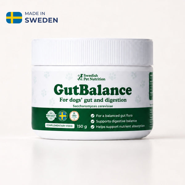 Gut Balance