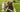 Hud och Päls - Hudirritation - 1 (1).jpg__PID:e433ed81-a891-41b3-b9ca-ad2a5276f6ea