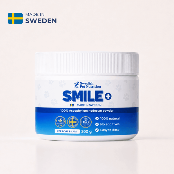 SMILE+