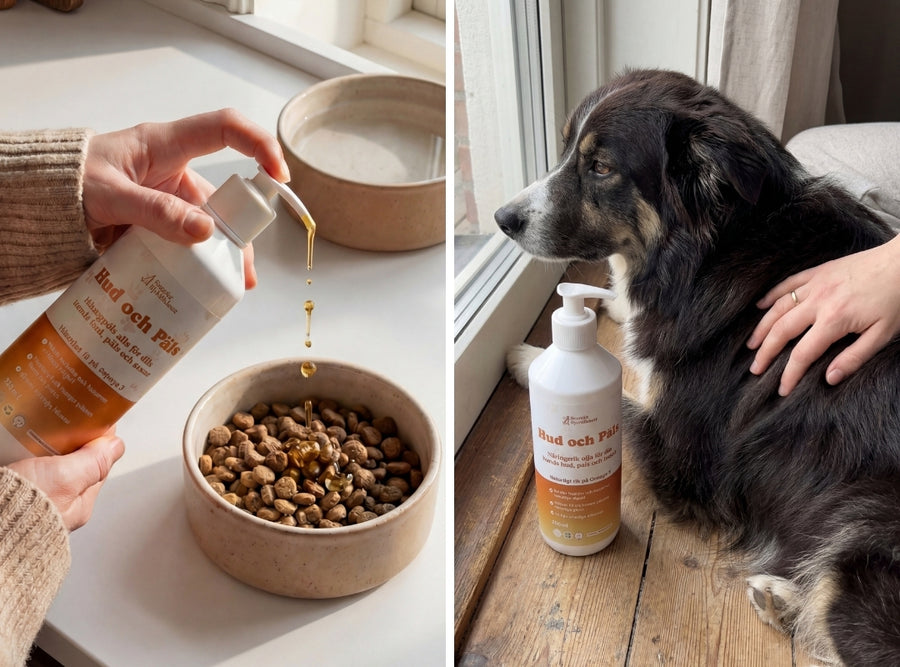5 anledningar varför Hud och Päls-oljan kan hjälpa din hund i vår