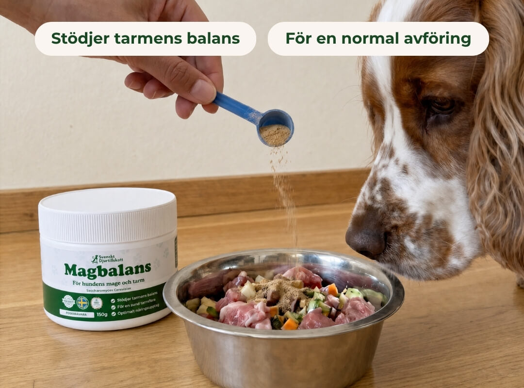 Magbalans – Prebiotika för hund