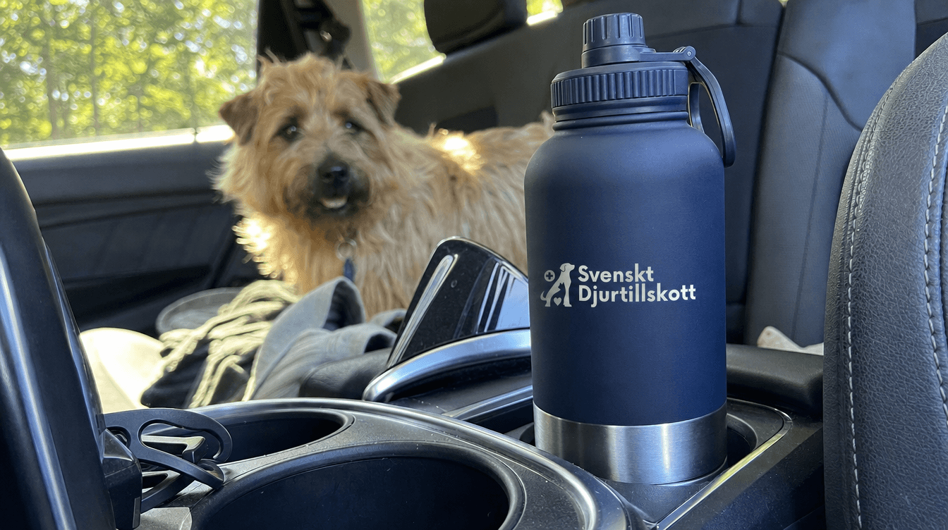 Kallt vatten – även när bilen stått i solen